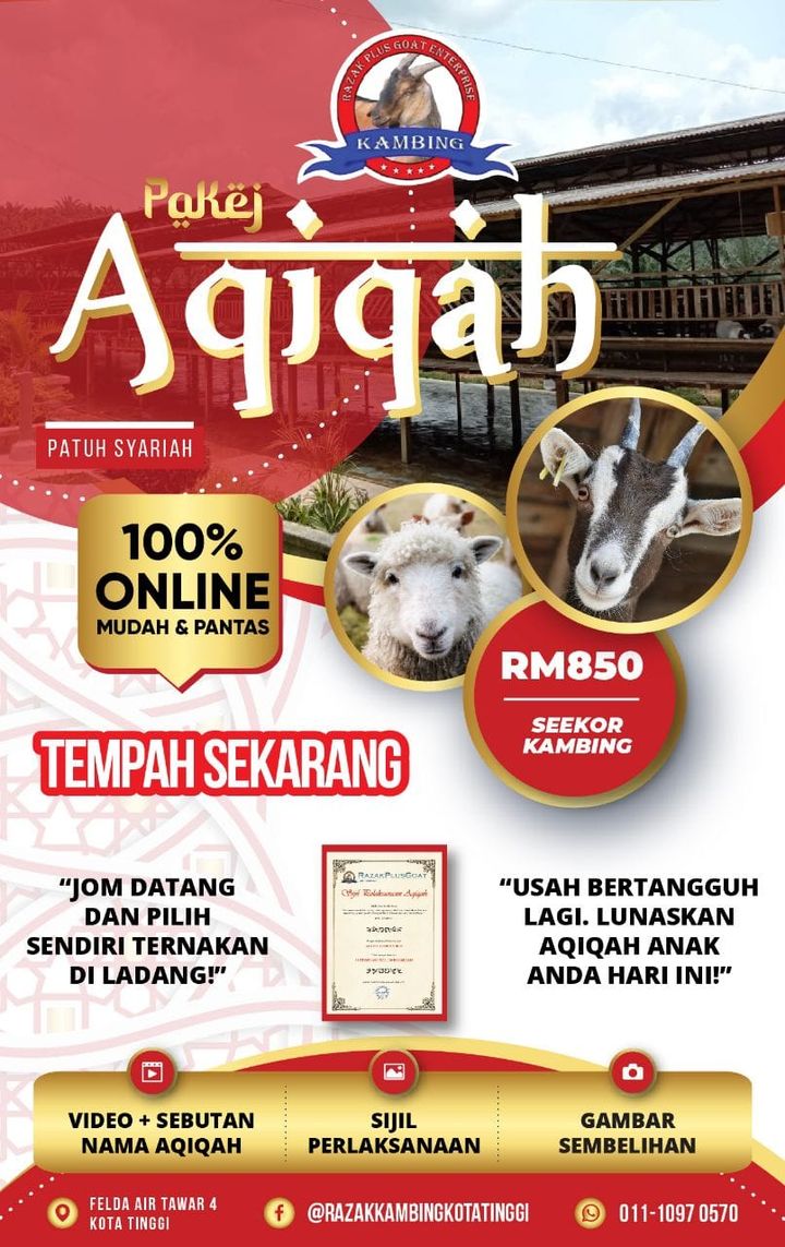 Kambing Akikah Serendah RM850