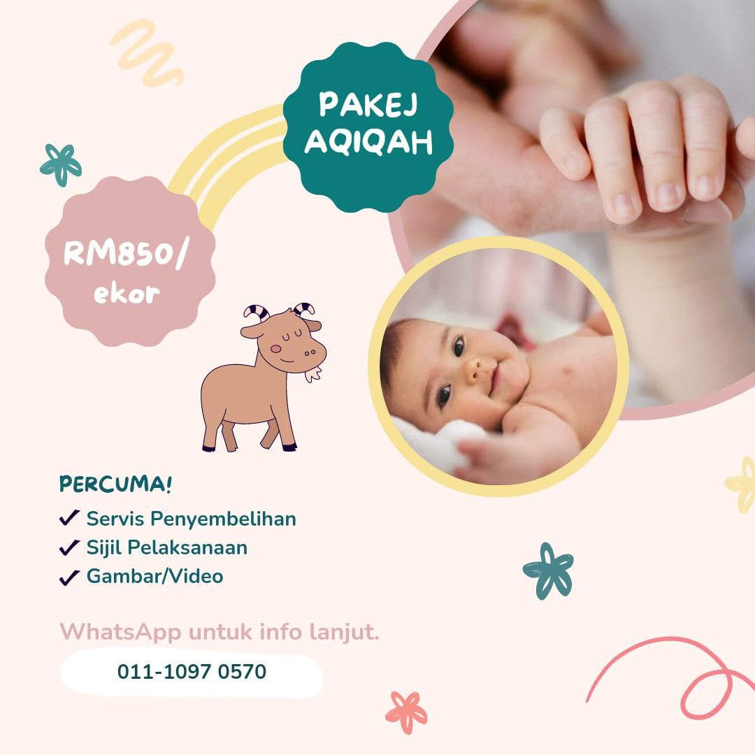 Kambing Aqiqah RM850, Percuma Servis Penyembelihan