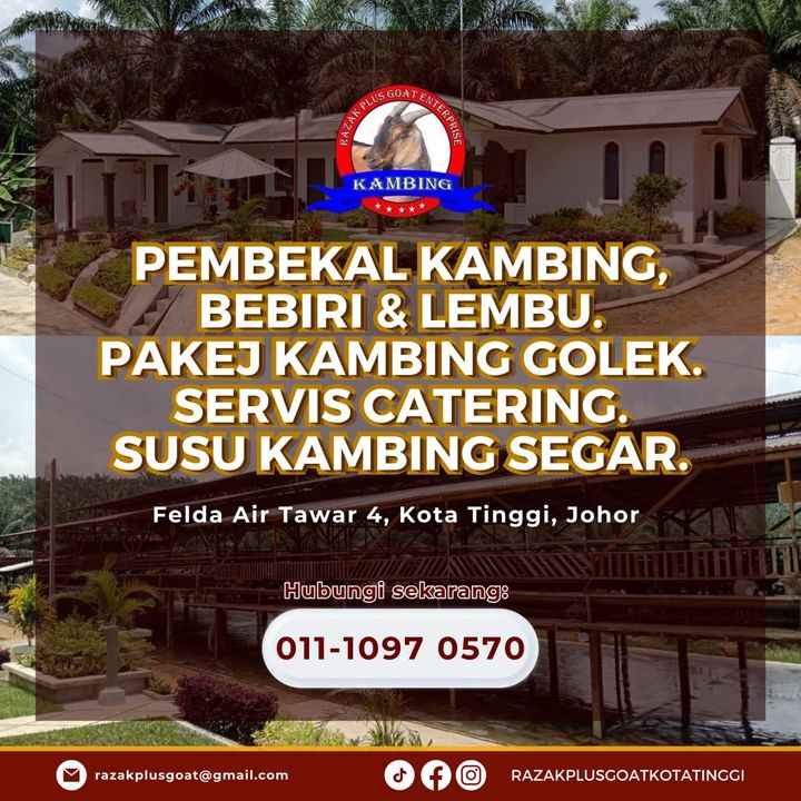 Pembekal Kambing, Bebiri dan Lembu sekitar Kota Tinggi, Pasir Gudang, Johor Bahru