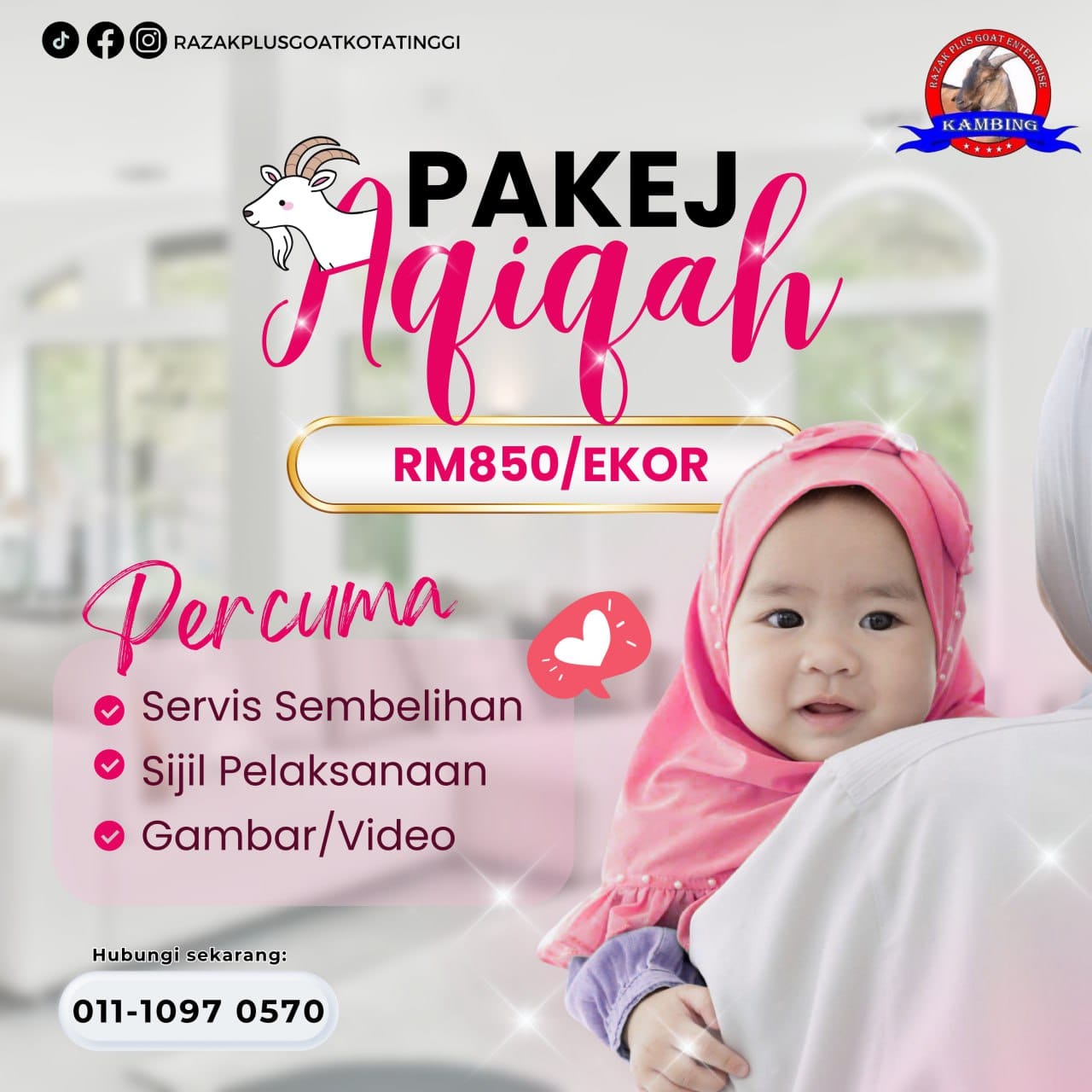 Pakej Aqiqah: Kambing RM850/Ekor