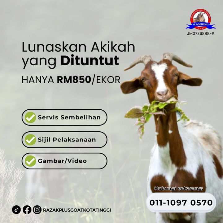 Lunaskan Aqiqah yang Dituntut