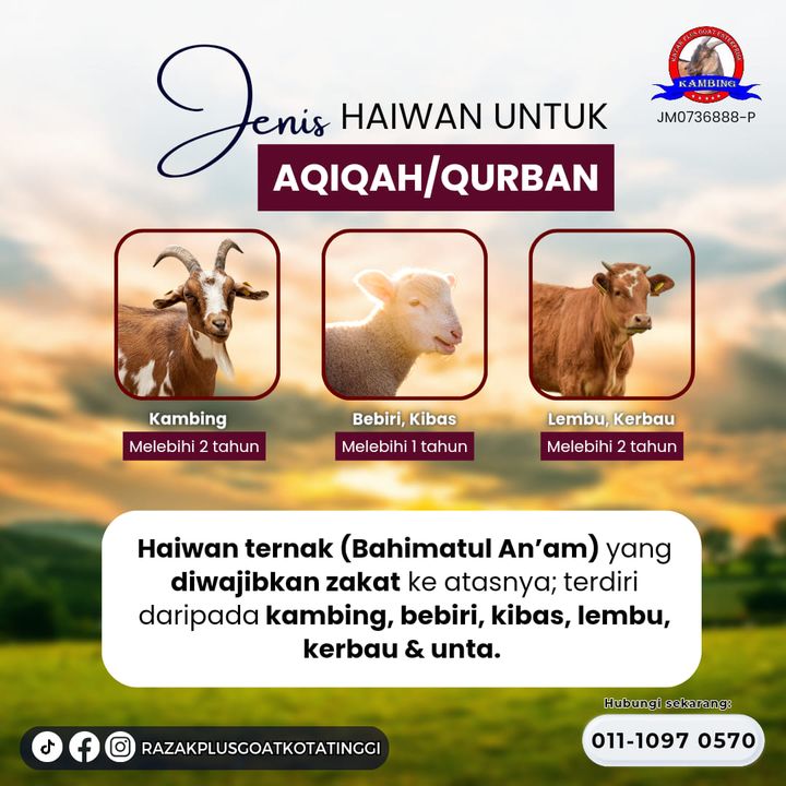 Bolehkah Kita Menggantikan Kambing Kepada Bahagian Lembu Atau 