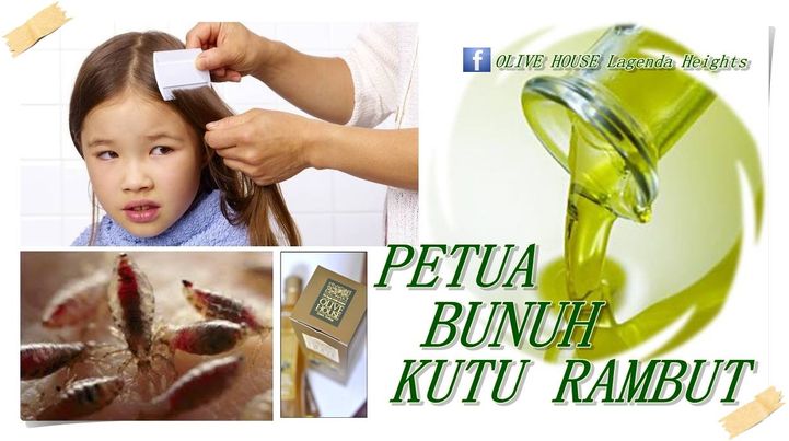 Minyak Zaitun Dan Kecantikan  