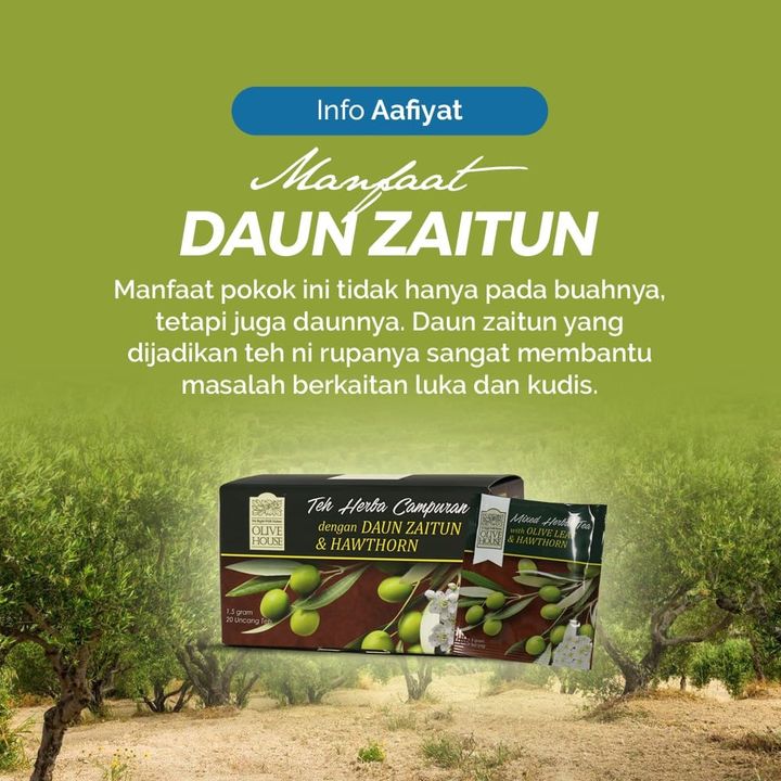 Info Aafiyat Menurut Dr Azizah Abdul Aziz Pensyarah 