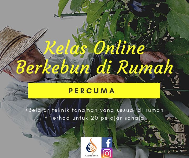 Kelas Untuk Pemula 