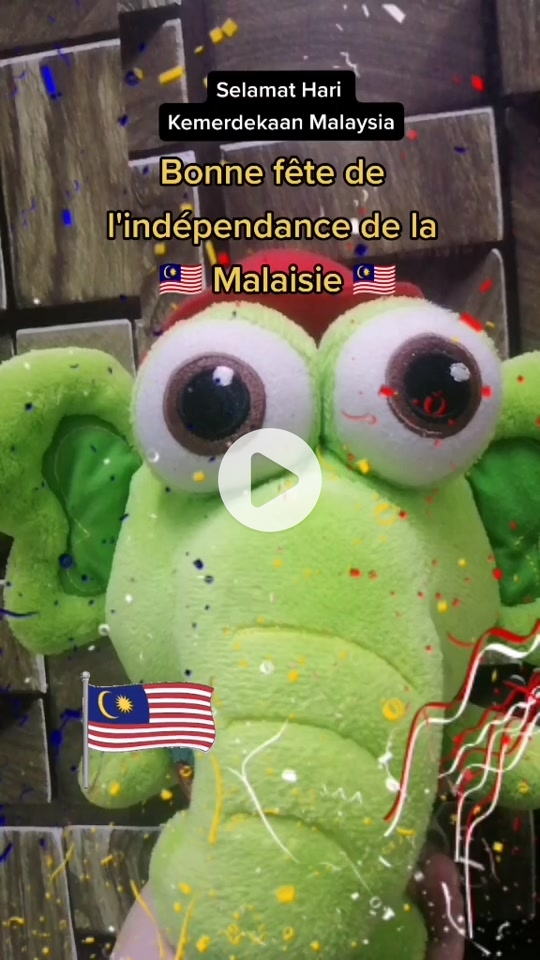 Selamat Hari Kemerdekaan Malaysia 