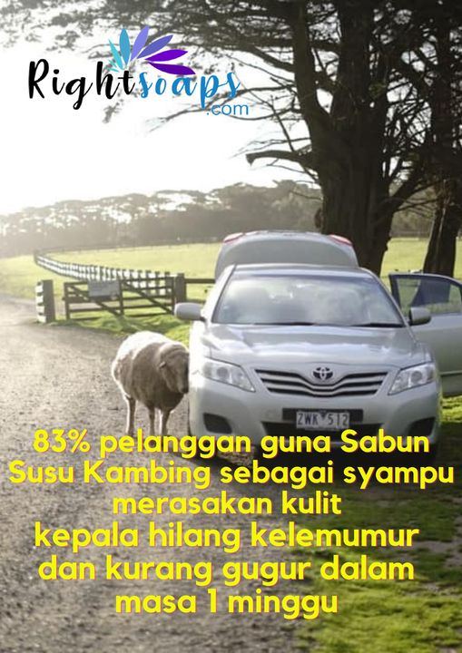 Syampu Rambut Dengan Sabun Buku Jer Bila Dah 