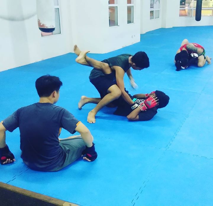 We Have Everything You Need To Learn Mma 