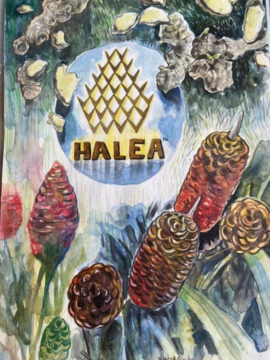 Halea Ohh Halea...terima Kasih Kpd Rakan Yg Melukis Halea Ohh Halea...terima Kasih Kpd Rakan Yg Melukis