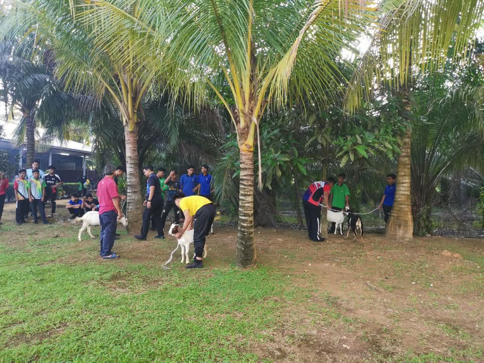 Teknik Penyembelihan Dalam Islam 