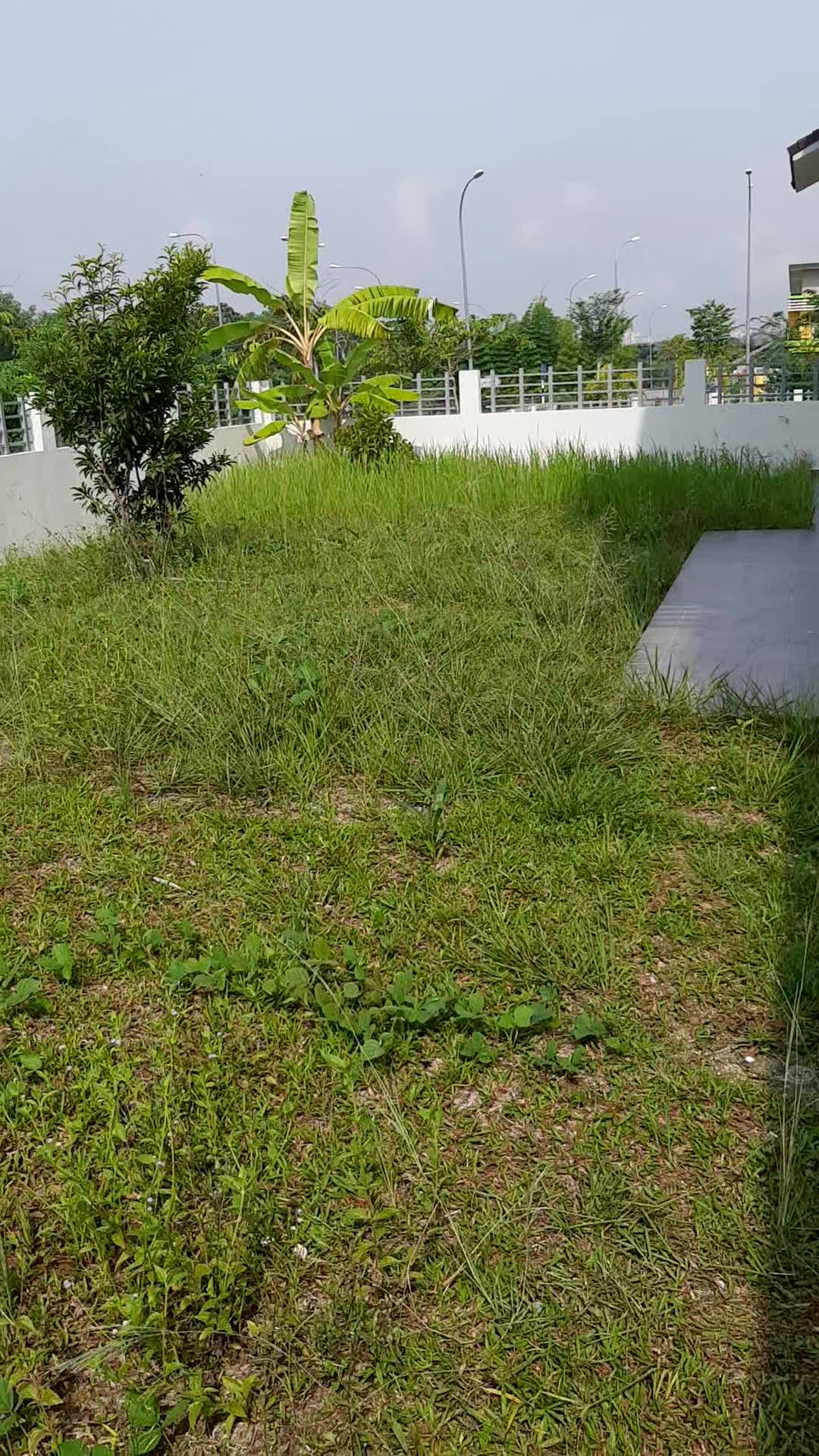 Nak Potong Rumput?? 