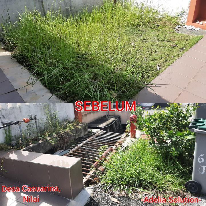 -desa Casuarina, Nilai- 