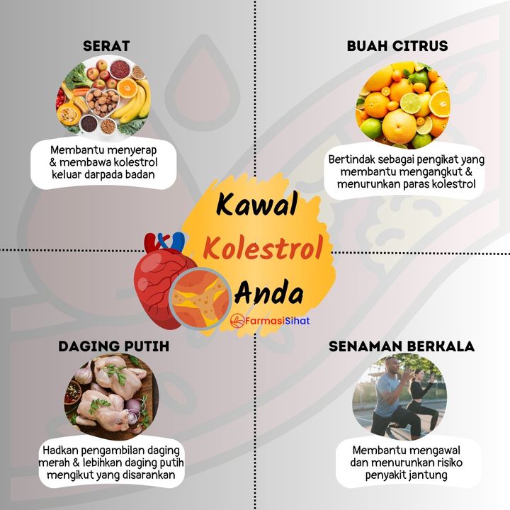 Apa Sebenarnya Kolesterol? 