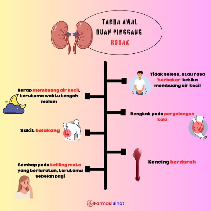 Jangan Pandang Remeh Tentang Penjagaan Buah Pinggang ‼️ 