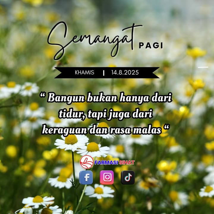 Setiap Hari Adalah Pemula Cerita, Pilihlah Jalan Cerita Setiap Hari Adalah Pemula Cerita, Pilihlah Jalan Cerita