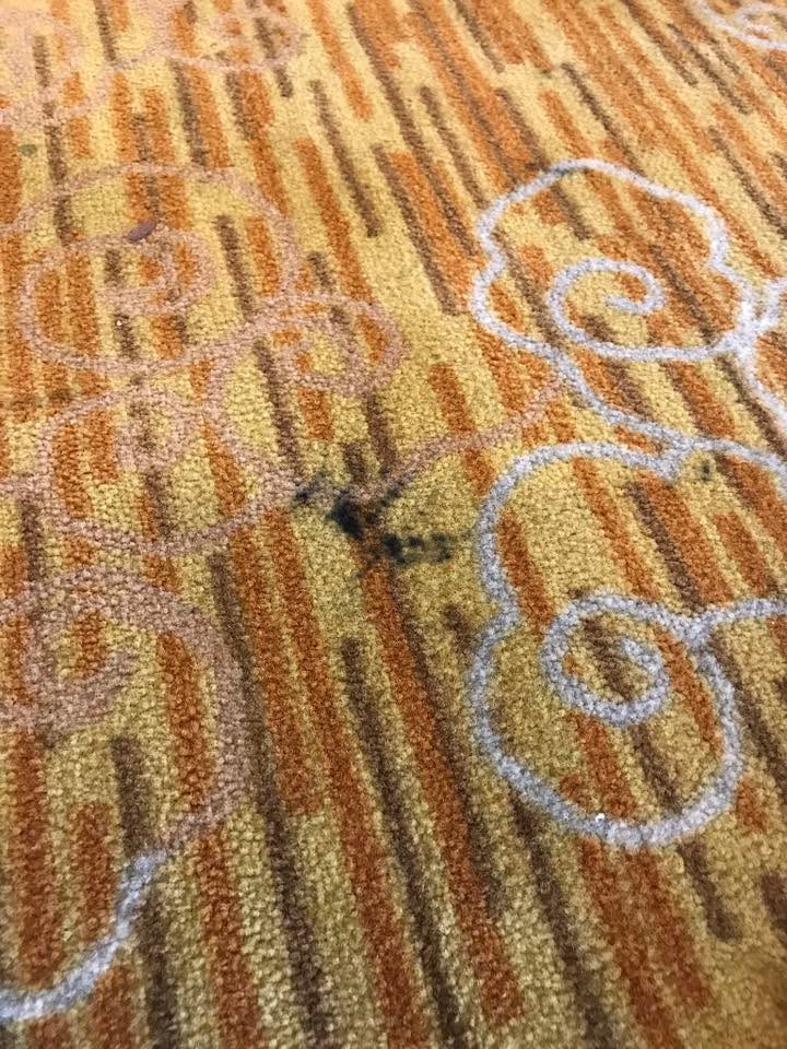 Demo - Removing Carpet Stain In Lemeridien Kk. 