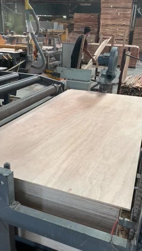 Minggu Pertama Pkpb Partner Kilang Plywood Kami Dah 