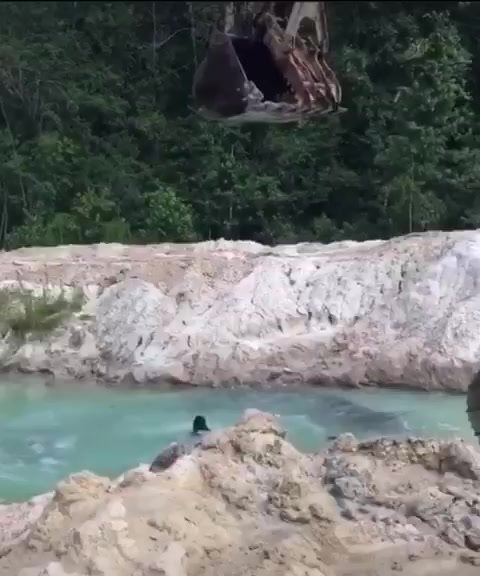 Boss Takde Kong Boleh La Main Main Dengan 