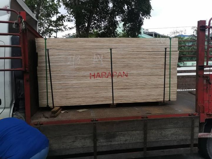 Plywood Harapan (top Quality) . Harini Delivery 100pcs 