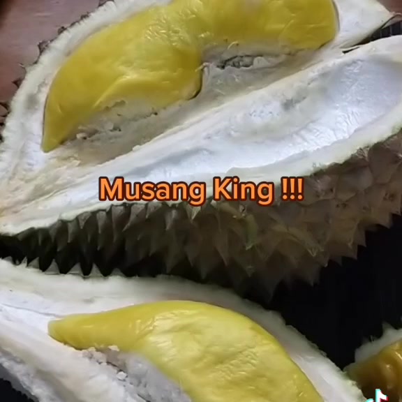 Musang King Terbaik Dari Ladang 