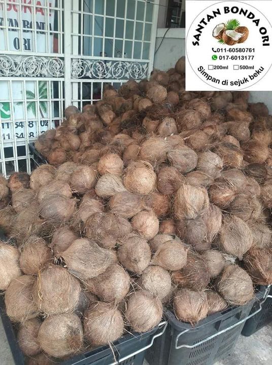 Hari Pertama Pkp 2.0.. 