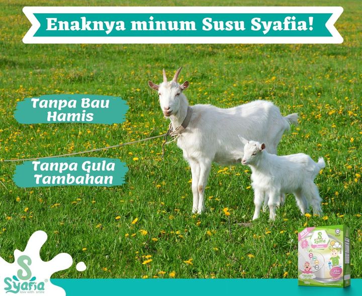 Jom Minum Susu Syafia 