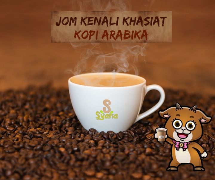 Pernah Dengar Tentang Kopi Arabika? 