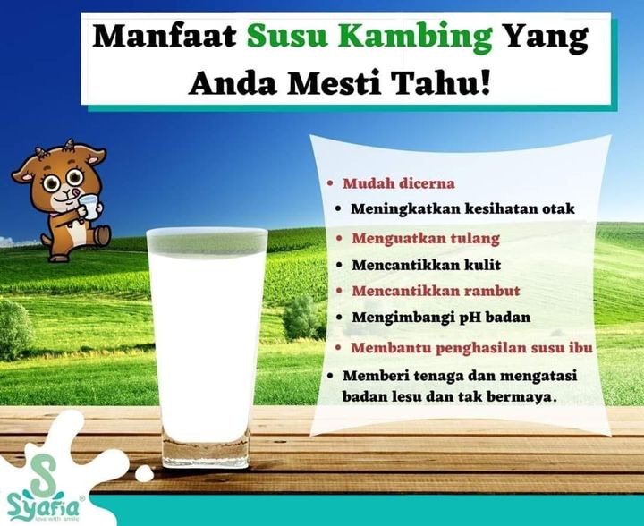 Patutlah Susu Syafia Menjadi Pilihan Ramai! Memang Banyak 