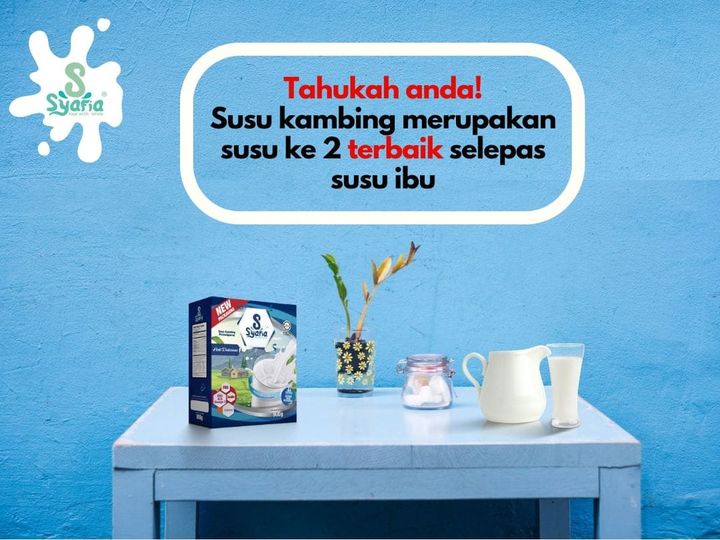 Antara Manfaat Dan Kebaikan Susu Kambing: 