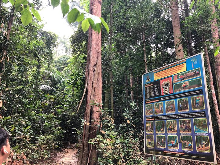 Tempat Hutan Simpan Boleh Melakukan Pelbagai Aktiviti Seperti Tempat Hutan Simpan Boleh Melakukan Pelbagai Aktiviti Seperti