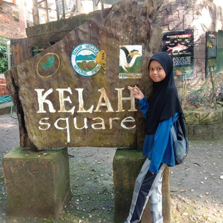 4d3n National Park (taman Negara) Full Board Package 4d3n National Park (taman Negara) Full Board Package