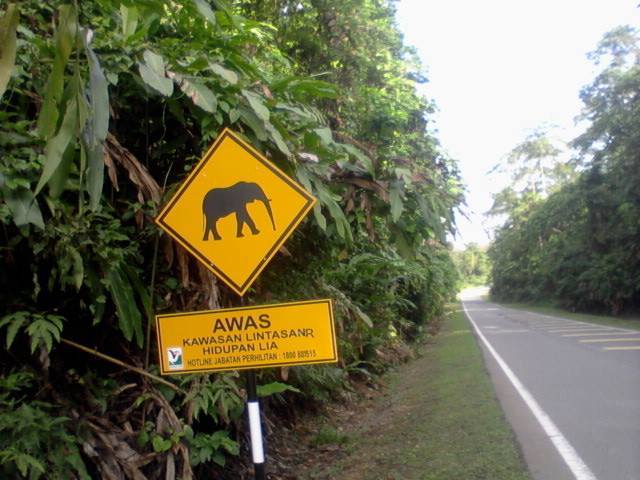 4d3n National Park (taman Negara) Full Board Package 4d3n National Park (taman Negara) Full Board Package