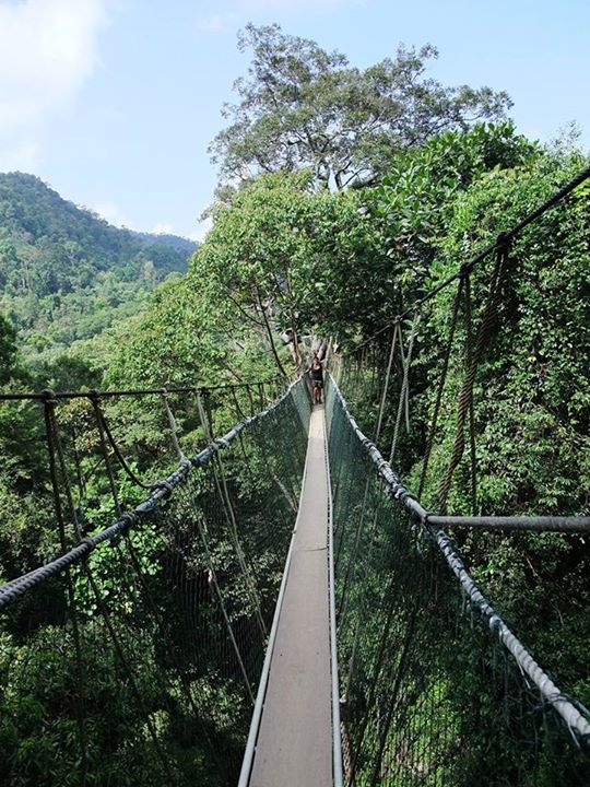 4d3n National Park (taman Negara) Full Board Package 4d3n National Park (taman Negara) Full Board Package