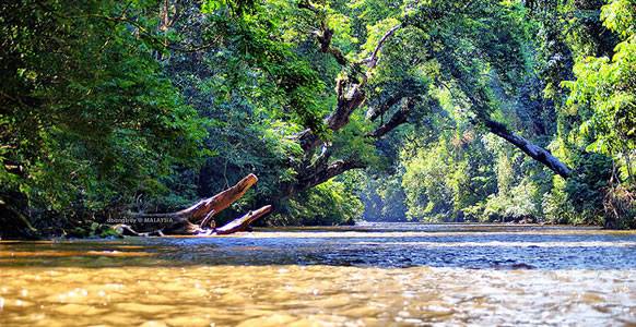 4d3n National Park (taman Negara) Full Board Package 4d3n National Park (taman Negara) Full Board Package