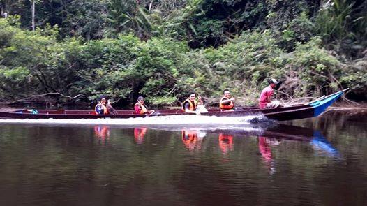 4d3n National Park (taman Negara) Full Board Package 4d3n National Park (taman Negara) Full Board Package