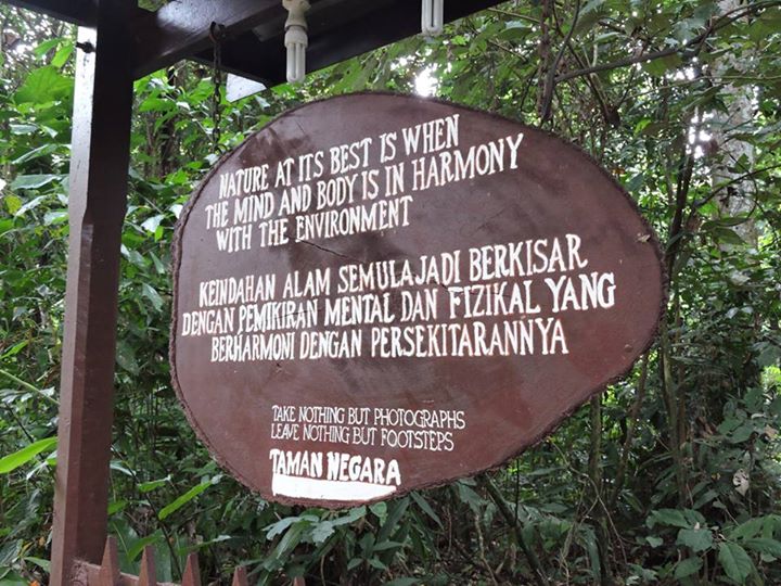 3d2n National Park (taman Negara) Full Board Package 3d2n National Park (taman Negara) Full Board Package