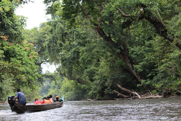 3d2n National Park (taman Negara) Full Board Package 3d2n National Park (taman Negara) Full Board Package