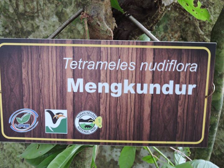 3d2n National Park (taman Negara) Full Board Package 3d2n National Park (taman Negara) Full Board Package