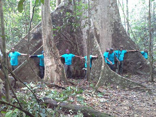 3d2n National Park (taman Negara) Full Board Package 3d2n National Park (taman Negara) Full Board Package