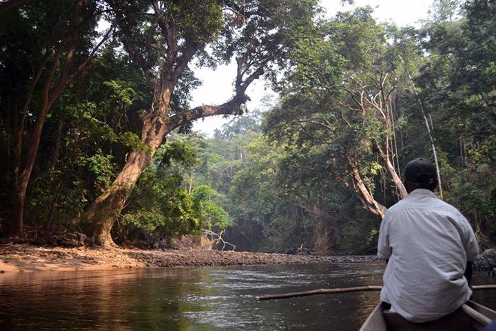3d2n National Park (taman Negara) Full Board Package 3d2n National Park (taman Negara) Full Board Package