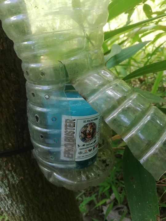 Pasang Air Kencing Harimau Dekat Kebun.sesuai Untuk Pasang Air Kencing Harimau Dekat Kebun.sesuai Untuk