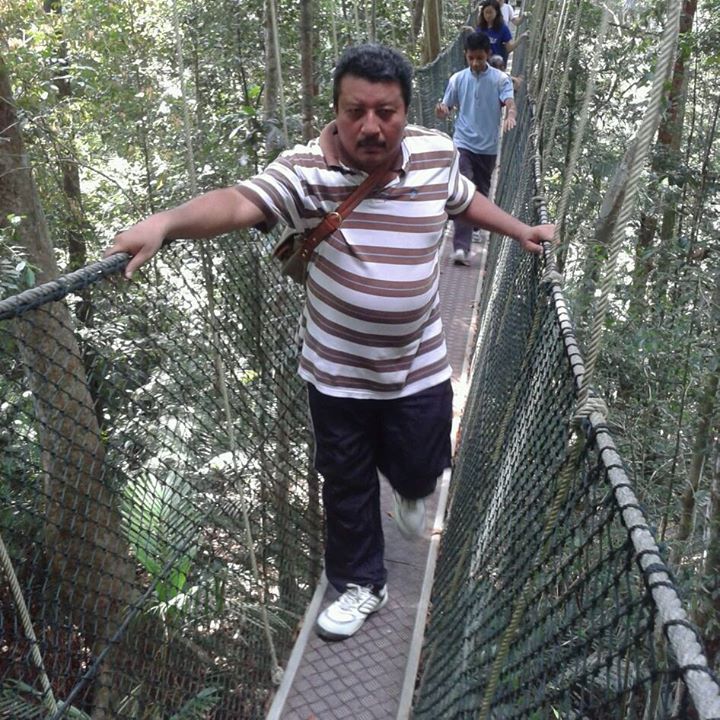 Canopy Walkway Canopy Walkway