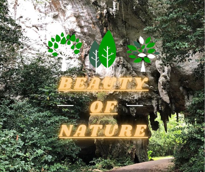 3d2n National Park (taman Negara) Full Board Package 3d2n National Park (taman Negara) Full Board Package
