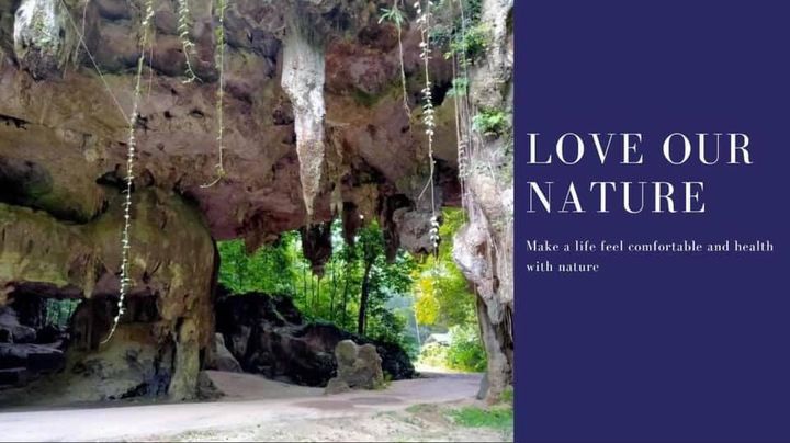 3d2n National Park (taman Negara) Full Board Package 3d2n National Park (taman Negara) Full Board Package