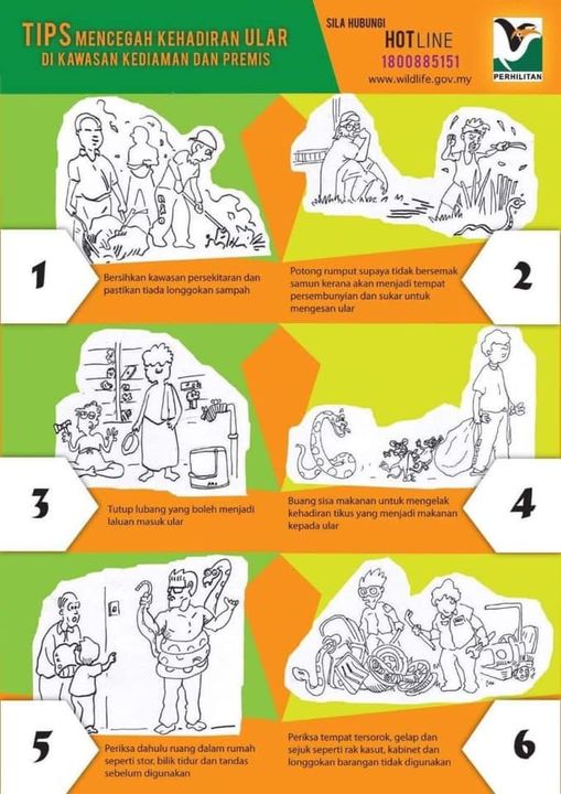 [tips Mencegah Kehadiran Ular Di Kawasan Kediaman Dan [tips Mencegah Kehadiran Ular Di Kawasan Kediaman Dan
