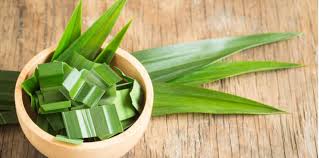 Khasiat Daun Pandan Khasiat Daun Pandan