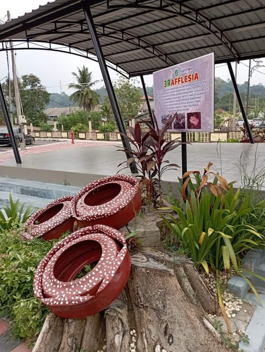 Replika Rafflesia Di Dataran Uptown Jerantut 