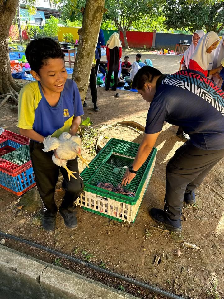 Aktiviti Pasca Uasa Tahun 6: Program Sembelihan Ayam 